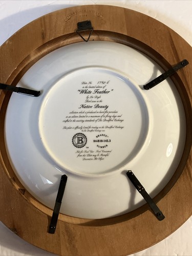 "White Feather" Native American Plate – Bradford Exchange – Framed - Picture 5 of 7