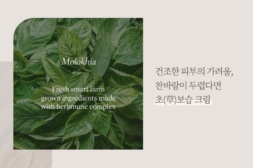 NATURE REPUBLIC Herbology Molokhia Deep Moisture Cream 70ml Nourishing Cream NEW - Picture 6 of 16