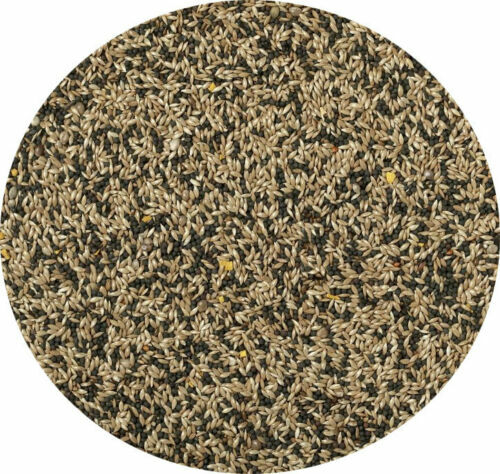 Canary Seed Mixed Canary Food Feed 10kg 5kg 3kg 2kg 1.5kg 1kg 450g - 第 1/1 張圖片