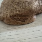 Foto 6 di 9