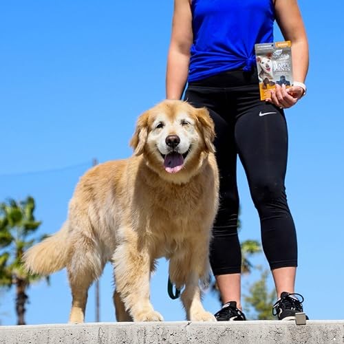 ARK NATURALS Gray Muzzle Old Dogs! Happy Joints! Vet Recommended to Support - Picture 8 of 8