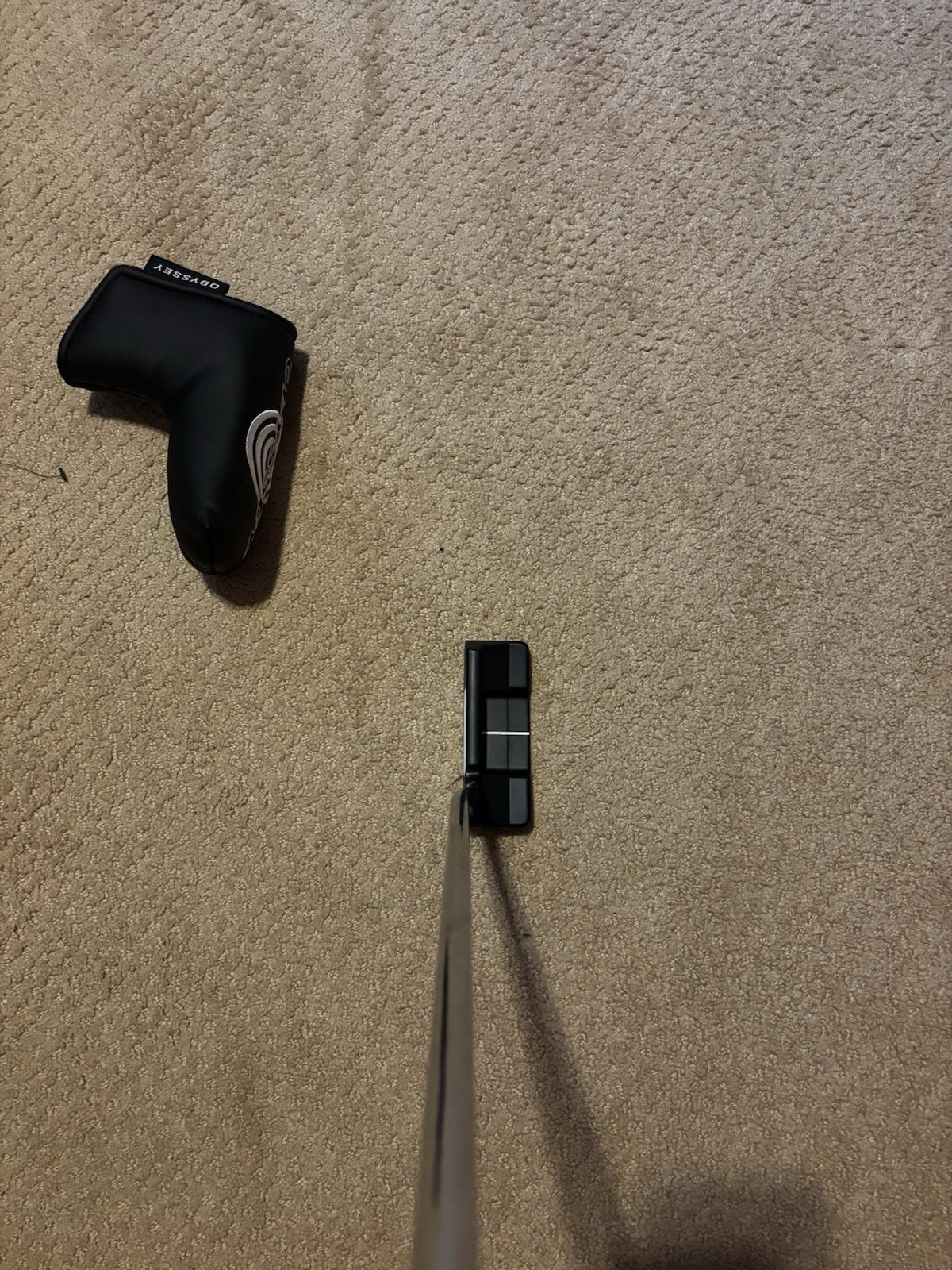 Picture 5 of 6