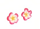 Afbeelding 2 van 5