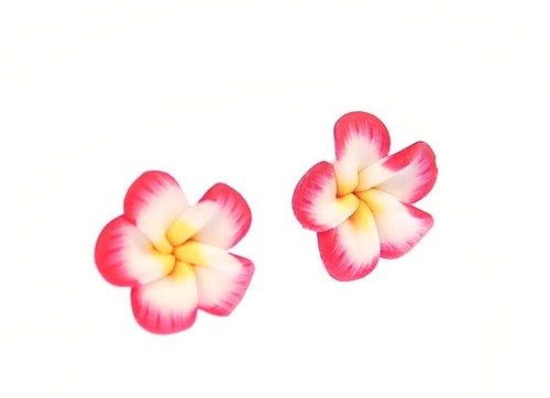 Frangipani Plumeria Earrings 3D Miniblings Plug Earrings Flowers Garden 15mm - Picture 2 of 5