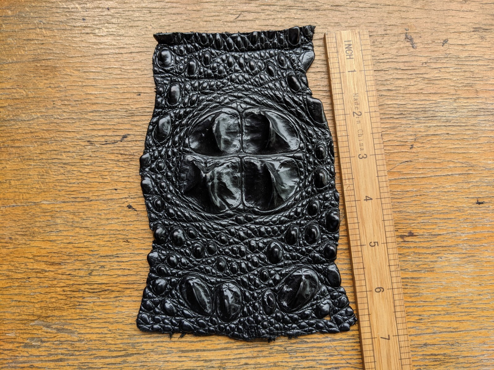 Real Genuine Black Alligator Crown Crocodile Piece - Picture 4 of 5