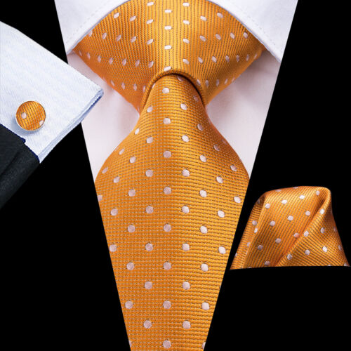 Reino Unido 100 % seda para hombre corbata de cachemira conjunto de corbatas azules a rayas florales negras corbatas de boda - Imagen 39 de 248