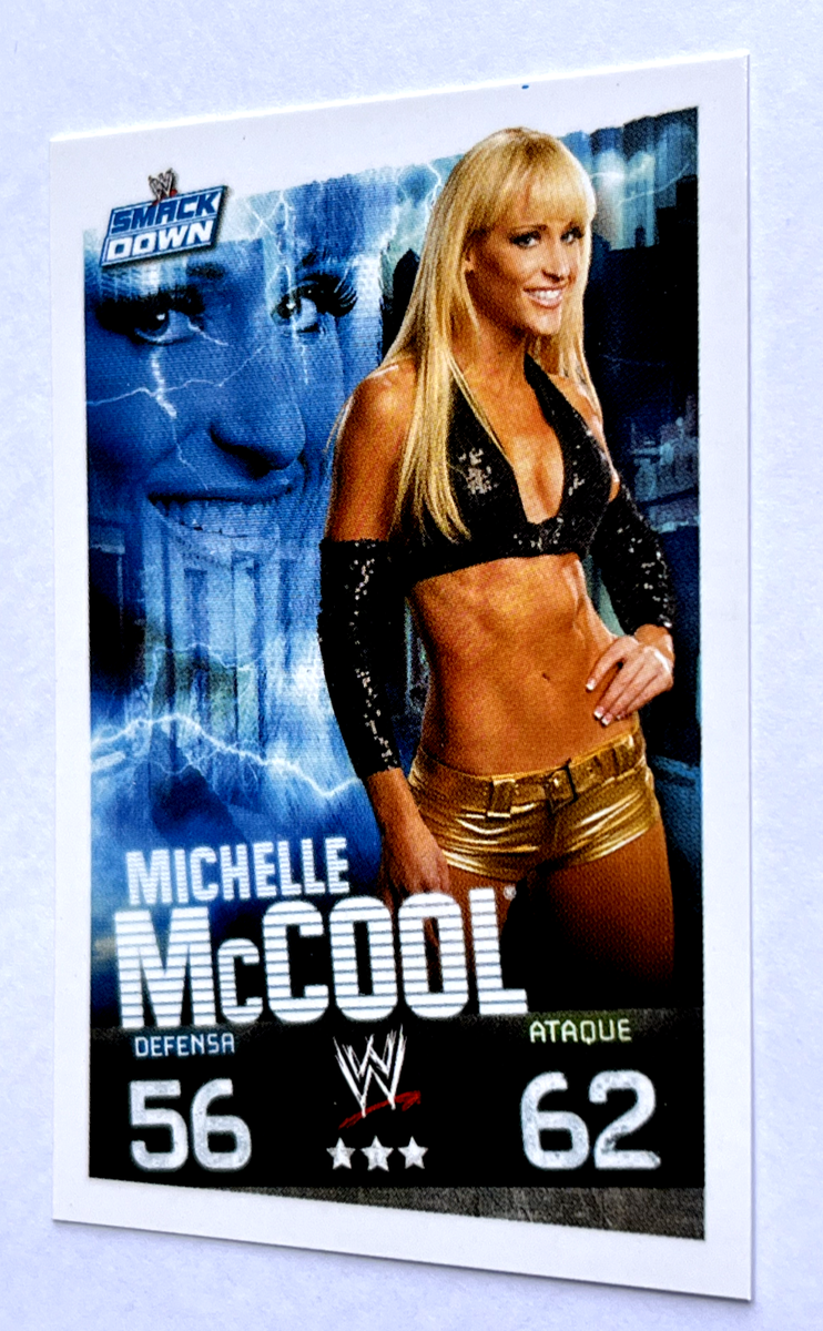 ★Michelle★様　ロールシール mizutama ロールシール ブルーチェック | 八文字屋OnlineStore