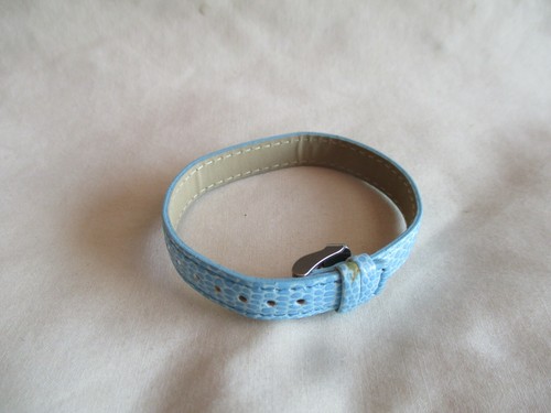 Blue Buckle Band - Picture 11 of 12