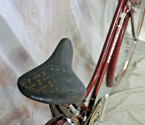 1974 Schwinn World Tourist Cruiser Bike 43cm XX-Small Chromoly Steel USA Shipper - Picture 9 of 16