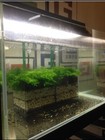 Picture 6 of 7