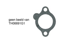 THERMOSTAT, COOLANT TH06691G1