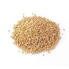 White Millet