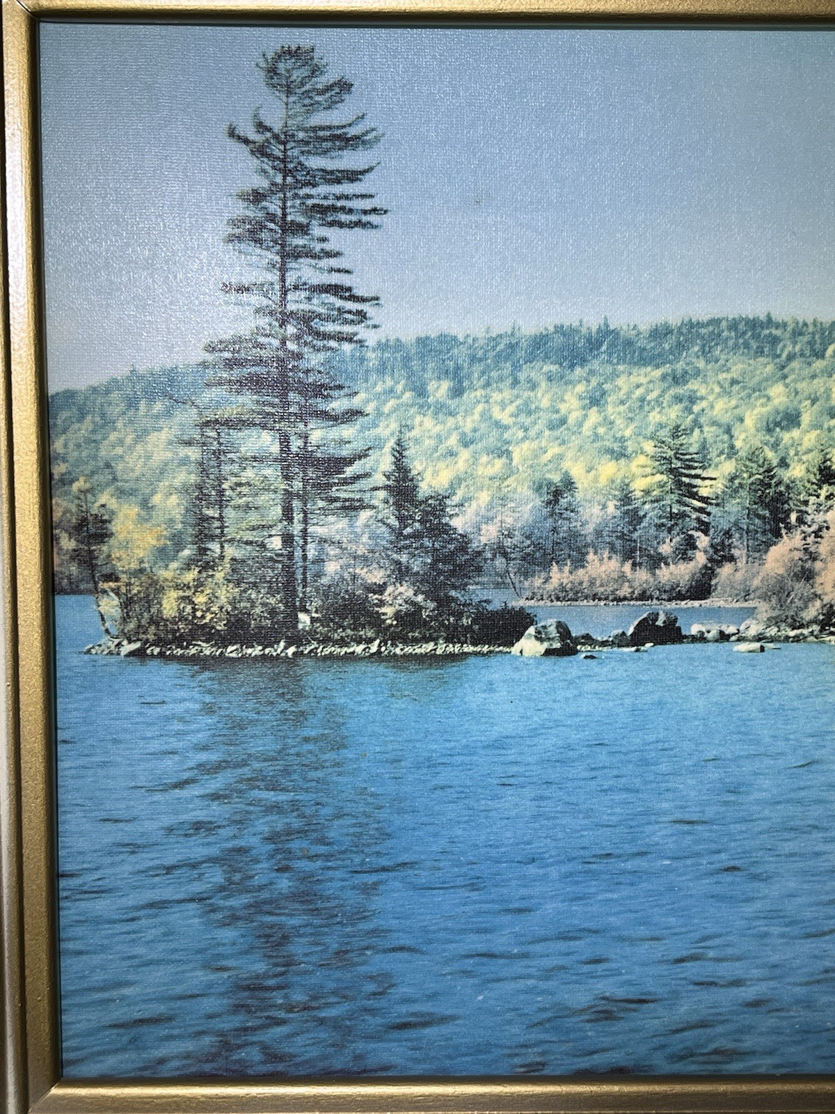 Picture 5 of 12