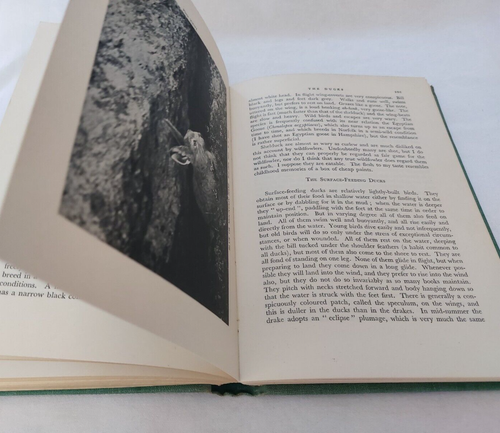 British Game by Brian Vesey-Fitzgerald - Hardback 1946 - Picture 4 of 9