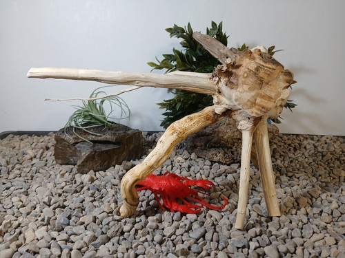 Driftwood aquarium fish 7 reptiles 9x15" natural spiderwood root decor - Picture 7 of 9