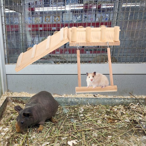 Ladder Swing Baby Bite-resisting Chinchilla Fence DIY Hamster - Picture 4 of 12