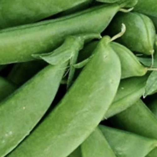 Heirloom 1.99 Vegetable Garden Seeds 250 Varieties Combined Shipping .99 NON GMO - Picture 230 of 240