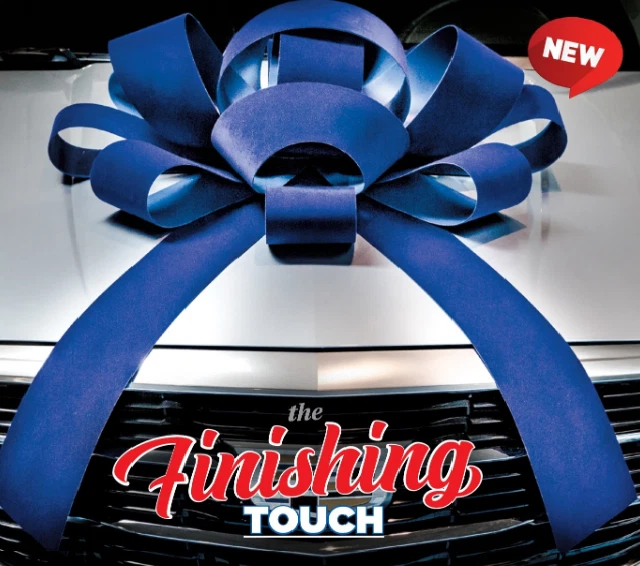 CarBowz Magnetic Velvet Car Bow Fully Assembled Large 4 ft Red Blue - Image 4 of 4