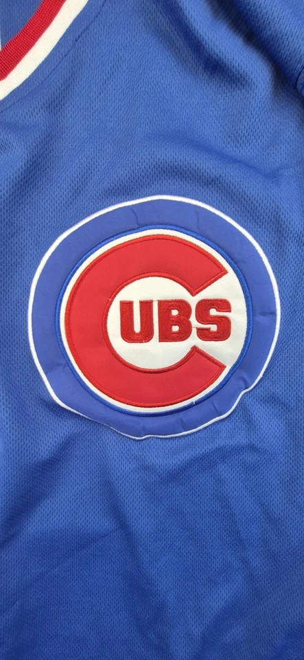 Majestuosa camiseta de béisbol aniversario de Ernie Banks #14 de los Chicago Cubs para hombre 40 Foto 3 de 4
