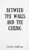 Between The Walls And The Ceiling | Dexter Sullivan | Buch | Englisch | 2025