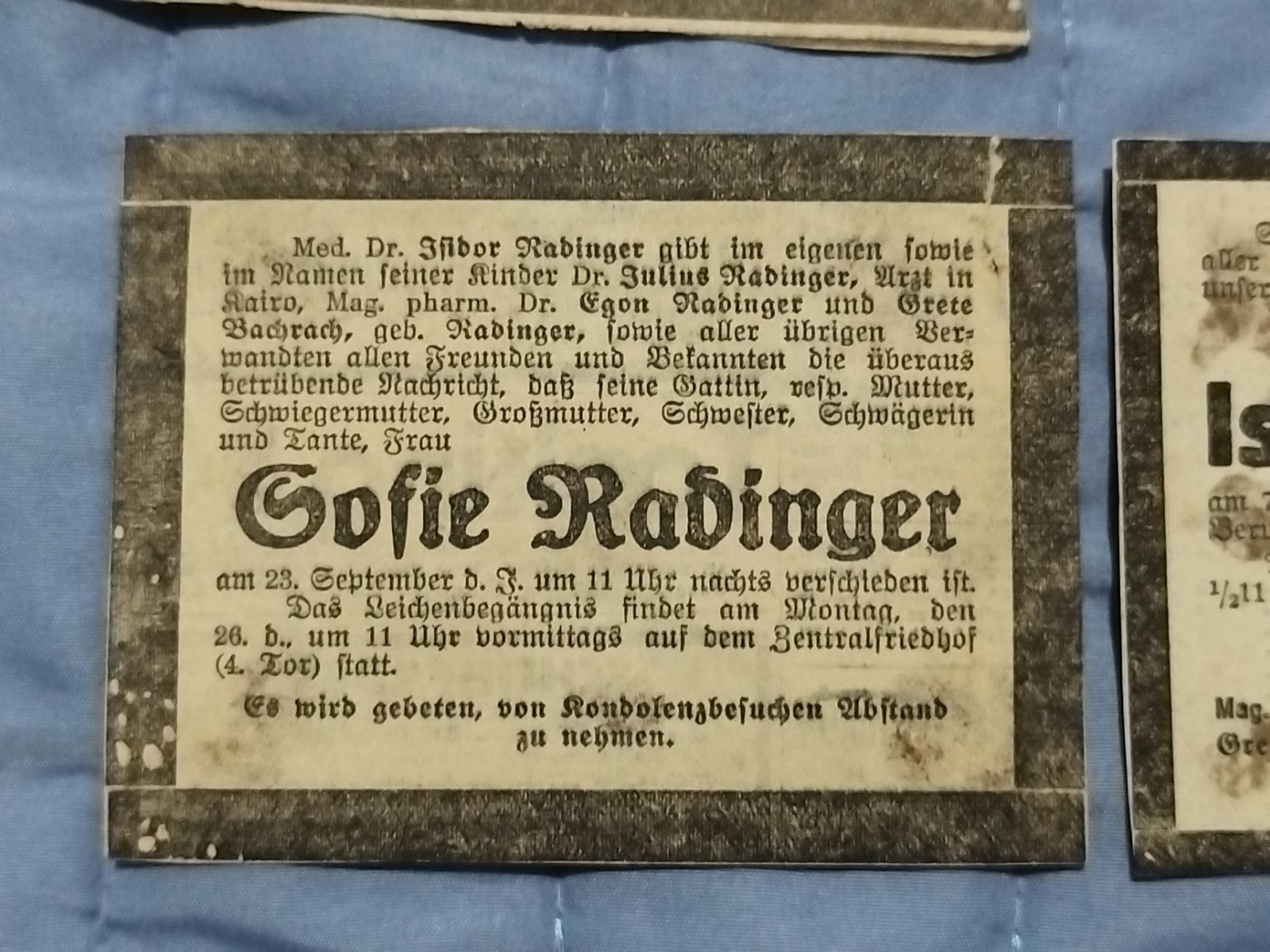 Bild 3 von 11