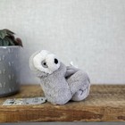 Bild 6 von 8