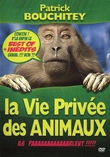 Patrick Bouchitey DVD: Das Privatleben der Tiere Best of + Unveröffentlicht