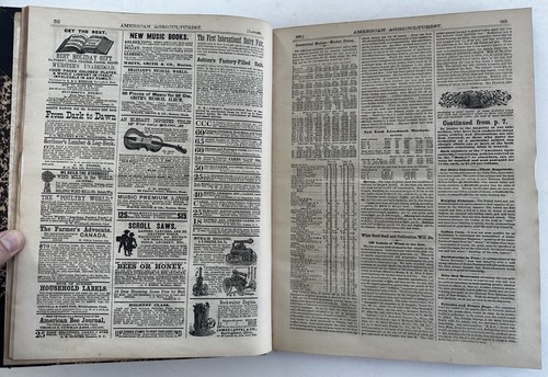 American Agriculturist 1879 bound vol. 12 issues wood engravings toy catalogue - Imagen 10 de 22