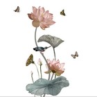 Wall Sticker Window Vinyl Art 65*120cm Classroom Clean Walls Furniture