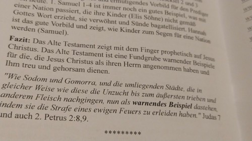 Wie Soll Ich Die Bibel Studieren? Johann Birke - Bild 3 von 3
