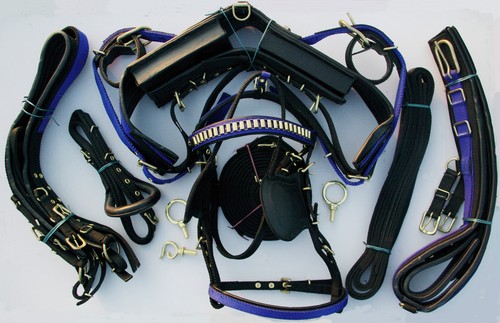 Driving Harness Black Webbing with Blue Detailing All Sizes Driving Harness Black Webbing with Blue Detailing All Sizes