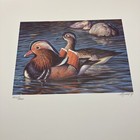 Foto 1 di 12