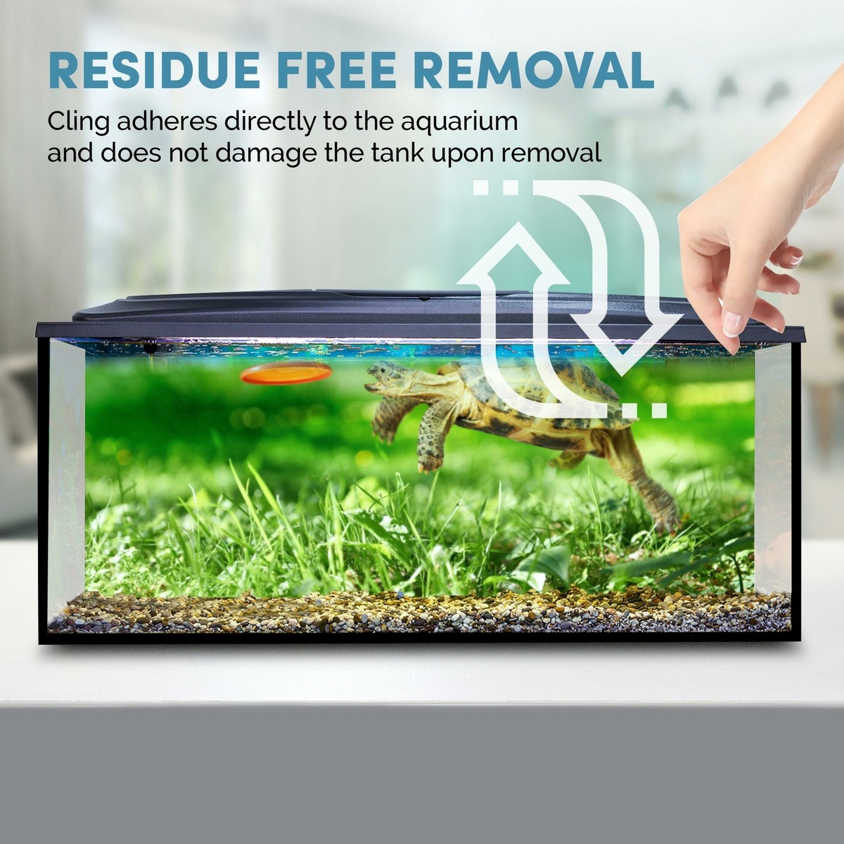Fish tank for tortoise hot sale
