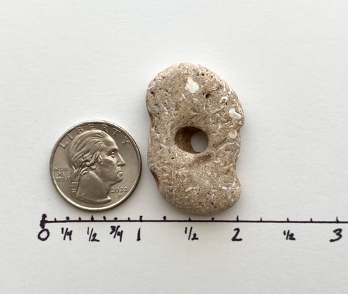 Natural Holey Beach Rock Hag Stone Adder Fairy Wish Amulet Mystical Magic #B USA - Picture 4 of 15