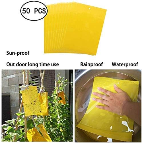 50Pezzi Adesivi Gialli, Fly Paper Stickers, Sticky Fly Catchers Dual-Side Trappo - Foto 5 di 12