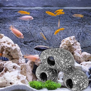 habitat aquarium