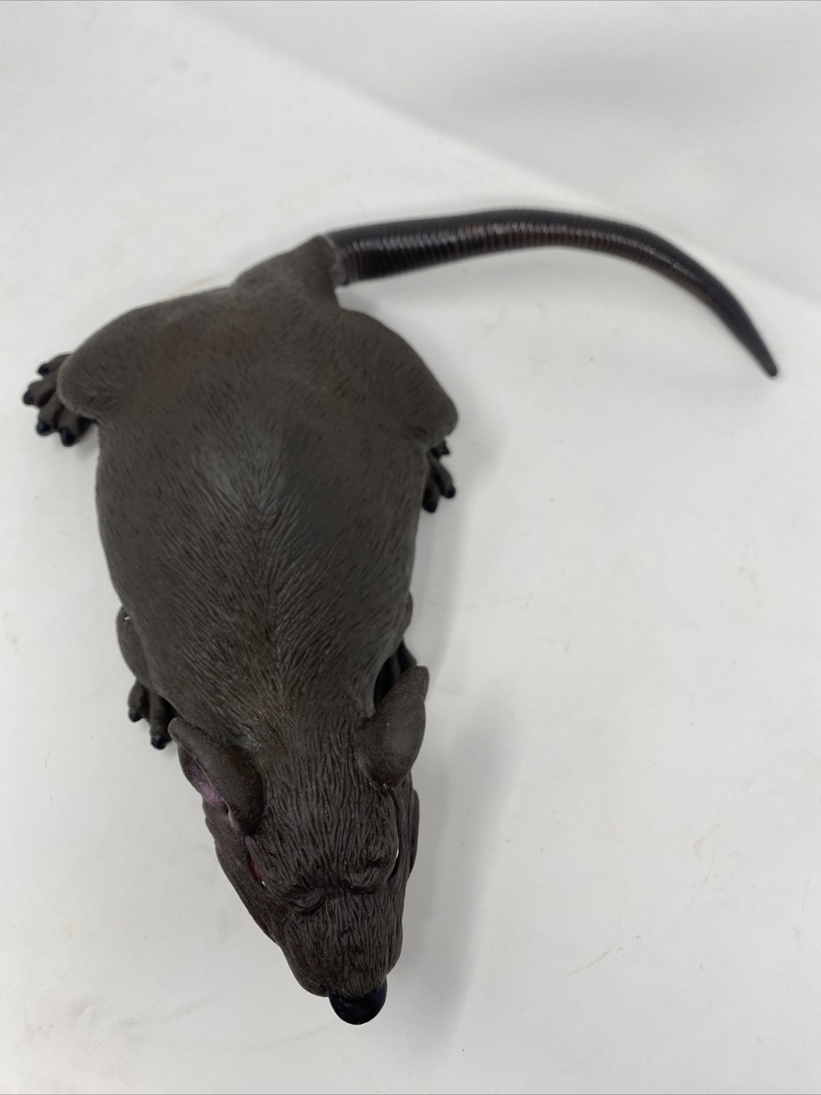 ●Rat Amazon.com : Victor M308 TIN CAT Clear Top Mouse Rat Trap