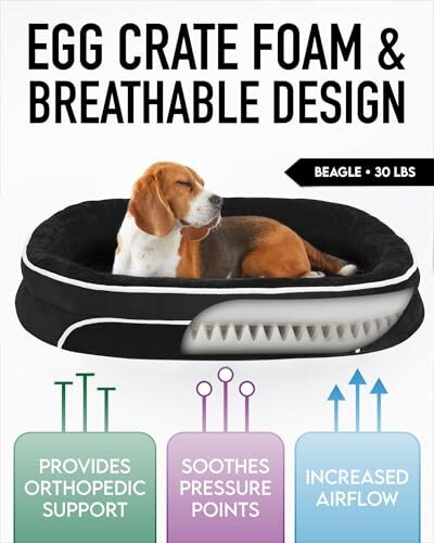 Orthopedic Dog Bed for Large Dogs, Dog Couch Large (35 x 28 x 6 Inch) Black - Bild 2 von 7