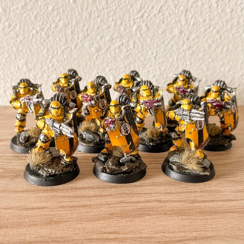 Warhammer 30k Space Marines - Painted Imperial Fists Army - BoxedUp (208) - 第 50/83 張圖片