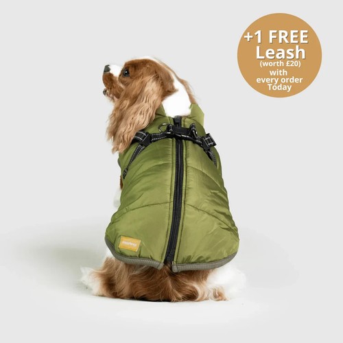 DoggyKing 3 in 1 Jacke Grün Größe XL 48 CM Brustumfang UVP 50£ - Bild 4 von 4