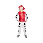 Marshall Carnival Costume with Hair and Torch Original Paw Patrol Baby