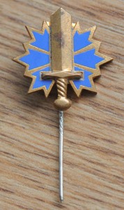 Estonian-Paramilitary-Organization-034-Kodukaitse-034-Pin-Badge