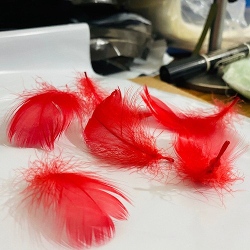 Wholesale Mixed Color 200Pcs/lot Natural Goose Feathers Decoration Plumes Crafts - Picture 33 of 36