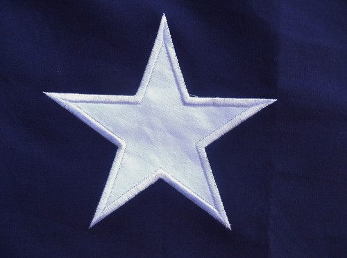 PRIMERA BANDERA NACIONAL DE ALGODÓN DE 11 ESTRELLAS DE ALTA RESISTENCIA - ESTRELLAS Y RAYAS COSIDAS 1ER DIXIE - Imagen 6 de 8