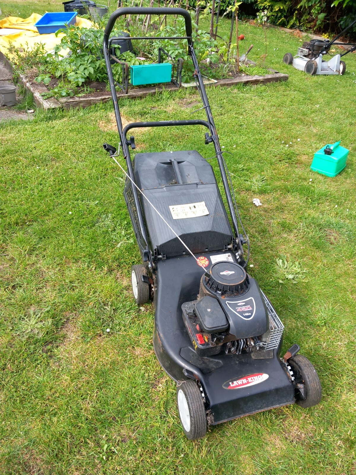 Lawn King Petrol Mower Briggs and Stratton 450 Series 148cc eBay