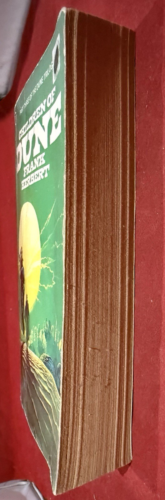 Foto 4 di 8