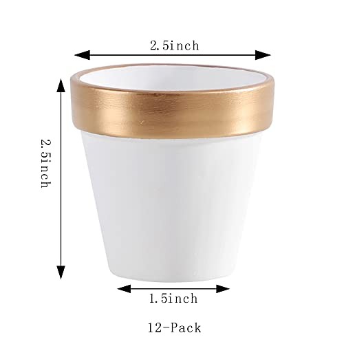 12 PCS Small Mini White Gold Clay Pots with Drainage Holes, 2.5inch Terra - Picture 2 of 7