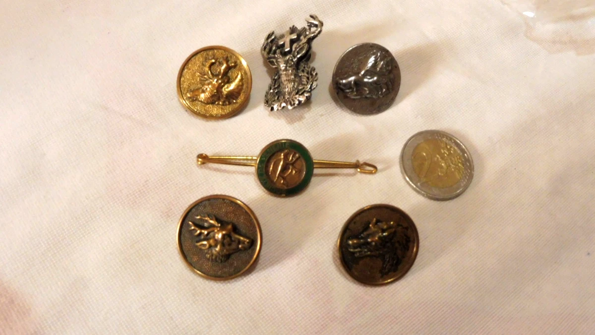Bouton De Chasse VENERIE – Hure De Sanglier – Étain – Collection France