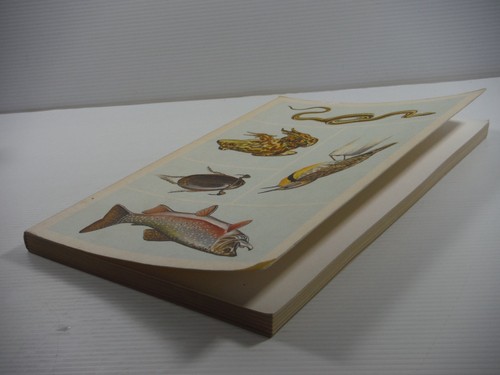 Animals of Manitoba Museum of Man and Nature by Dr Robert E Wrigley PB 1974 - Picture 13 of 15