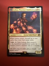 Joshua, Phoenix's Dominant Final Fantasy Regular